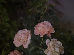 -好瑜筷桂鱼专门店(植物园店)