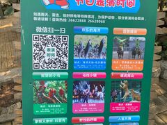 -深圳野生动物园