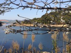 -广州市流溪河国家森林公园