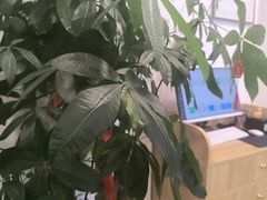 -艾柏堂8090经络·艾灸养生(御庭府邸店)