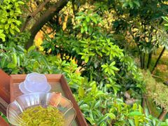 -十八棵（老龙井）御茶园(老龙井店)