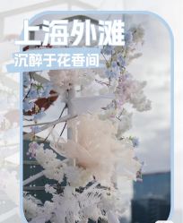 点击看大图 -Doris一站式游轮婚礼船东直营店(外滩店)