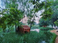 -前关湿地公园