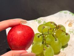 -季季山·云南野生菌火锅(上海首店)
