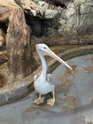 -Zoolung Zoolung动物主题公园(海信广场店)