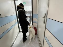 -中农国际动物医院24小时·猫科·骨科·急重症中心