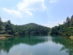 -四明山国家森林公园