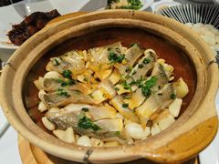 -新雅粤菜馆(南京东路店)