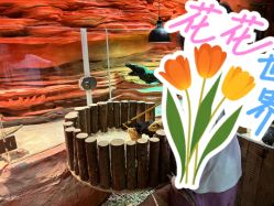 -Zoolung Zoolung动物主题公园(海信广场店)