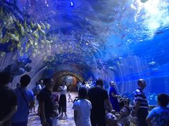 -华夏文旅西安度假区