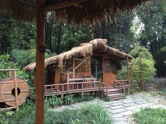 iphone_upload_pic-望江楼公园