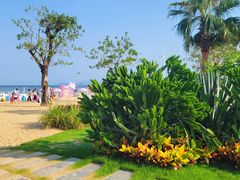 -大梅沙海滨公园