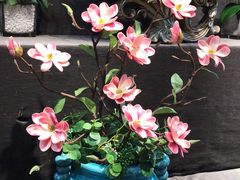 -双季花艺园艺市场(浦东店)