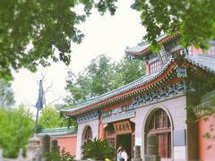 -灵谷景区