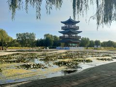 -白洋淀风景区