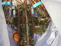 -盒马鲜生(大成店)