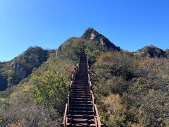 -大岭沟猕猴桃谷风景区