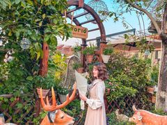 -大隐花事(熊婆婆的花园店)