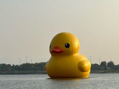 -深圳人才公园