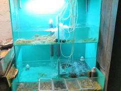 水产区-小时候焗海鲜(鄞州万达店)