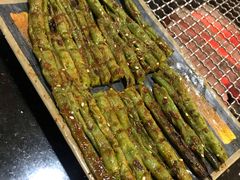 -瓦房店活羊大串(锦绣店)