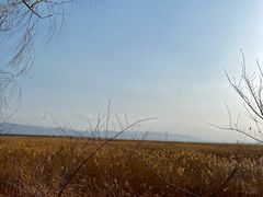 -野鸭湖国家湿地公园