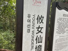 -酒仙湖景区