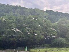 -深圳野生动物园