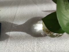 -西安绿地假日酒店·丽宝轩中餐厅