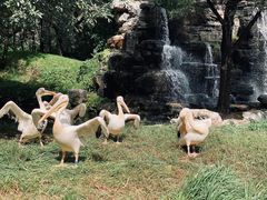 -北京野生动物园