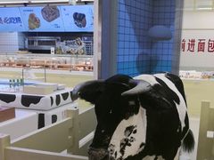 -红星前进面包牛奶公司(君太店)