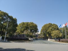 -南京国睿金陵大酒店