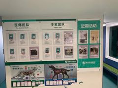 -瑞派先诺宠物医院•猫专科•普外科•中兽医(佛山院)