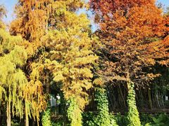 -白云湖畔酒店-湖畔餐厅