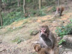 -黔灵山公园