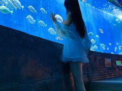 -合肥海洋世界