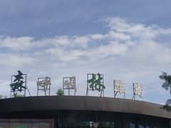 -黄海国家森林公园