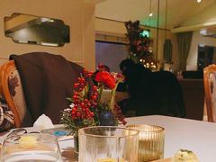 -蝶舍·MAISON PAPILLON