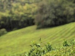 -敬亭山风景名胜区