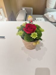 点击看大图 -baby bella小贝拉母婴护理中心(杭州凯宾斯基店)