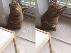 -七浦路服装批发市场