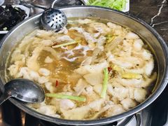 -丁月玉兔王(大渡口店)