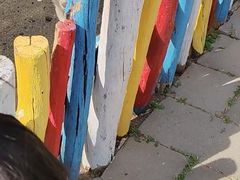 -西部长青自然儿童乐园