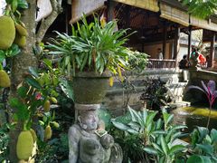 景观位-脏鸭餐厅(乌布总店)