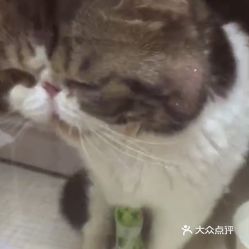 raOnbnXf1upyVGgpwW5Qhn7f7NJ2pBj8o6K4Fb7O92Z4uOhzbusutxhaYzmPi5YPuzFvxlbkWx5uwqY2qcjixFEuLYk00OmSS1IdNpm8K8sG4JN9RIm2mTKcbLtc2o2vfCF2ubeXzk49OsGrXt_KYDCngOyCwZK-s3fqawWswzk.jpg