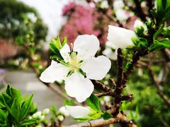 -圩墩遗址公园