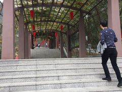 -清溪森林公园