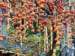 -田园印象·成都土菜院子(华阳店)