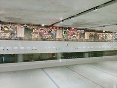 -TheRink大零溜冰场(IFS国金中心店)