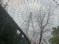 -南昌之星摩天轮